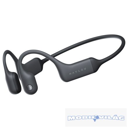 Haylou BC 01 Bluetooth Headset Mono 12 Hónap Garancia